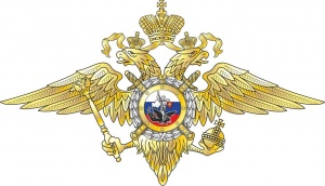 Министерство внутренних дел Российской Федерации 